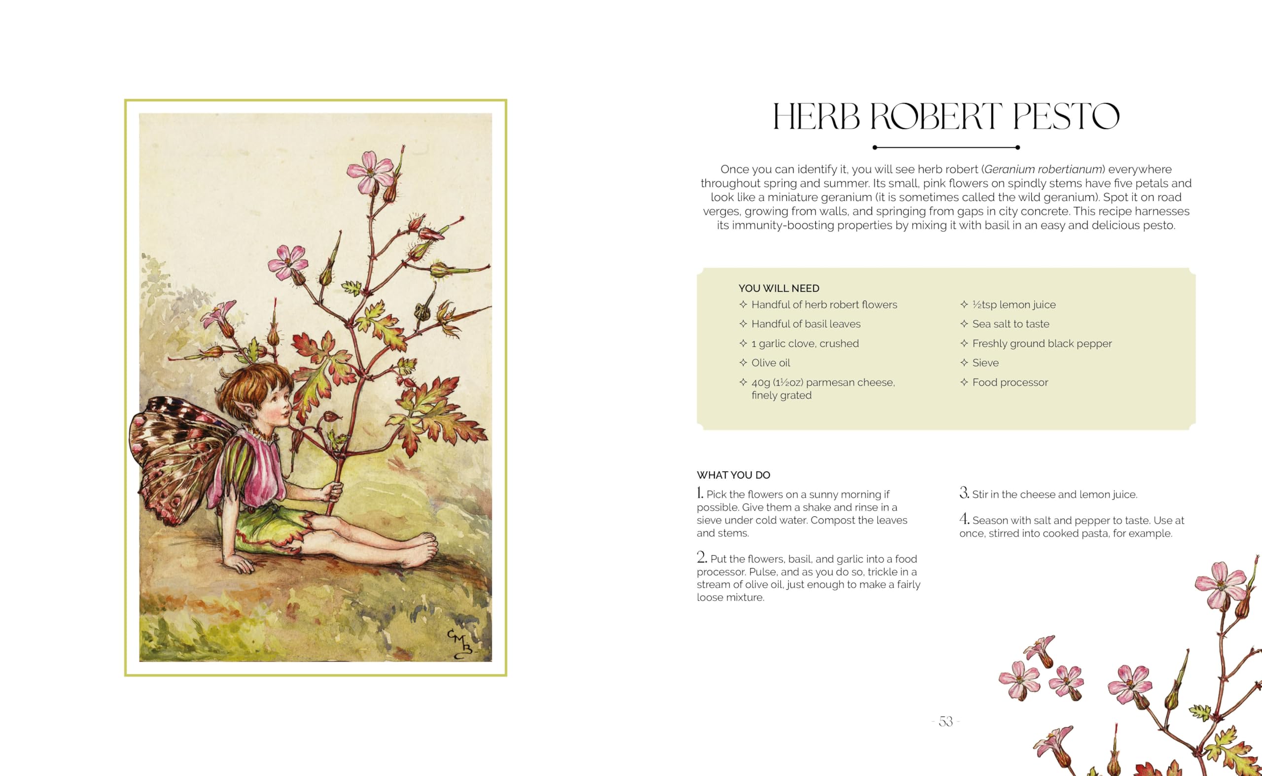 The Flower Fairies Herbal: Recipes and Remedies from the Hedgerow, Field and Forest.