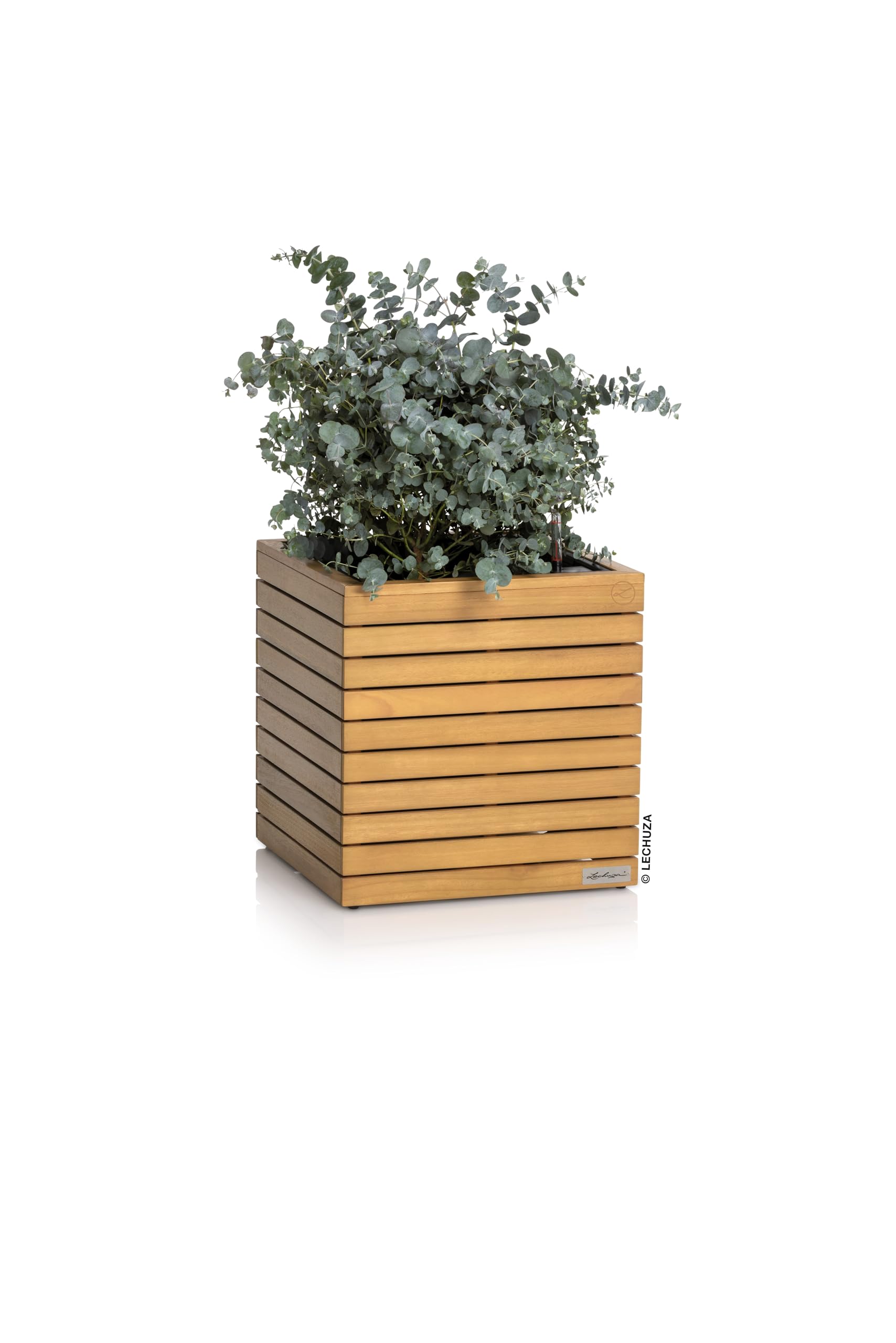 Lechuza PALO Natural Wood 45 Low Pot de Fleurs en Bois d'eucalyptus avec système d'irrigation, indicateur de Niveau d'eau et bac à Plantes, Surface en Bois véritable, 44 x 44 x 46 cm, 16772