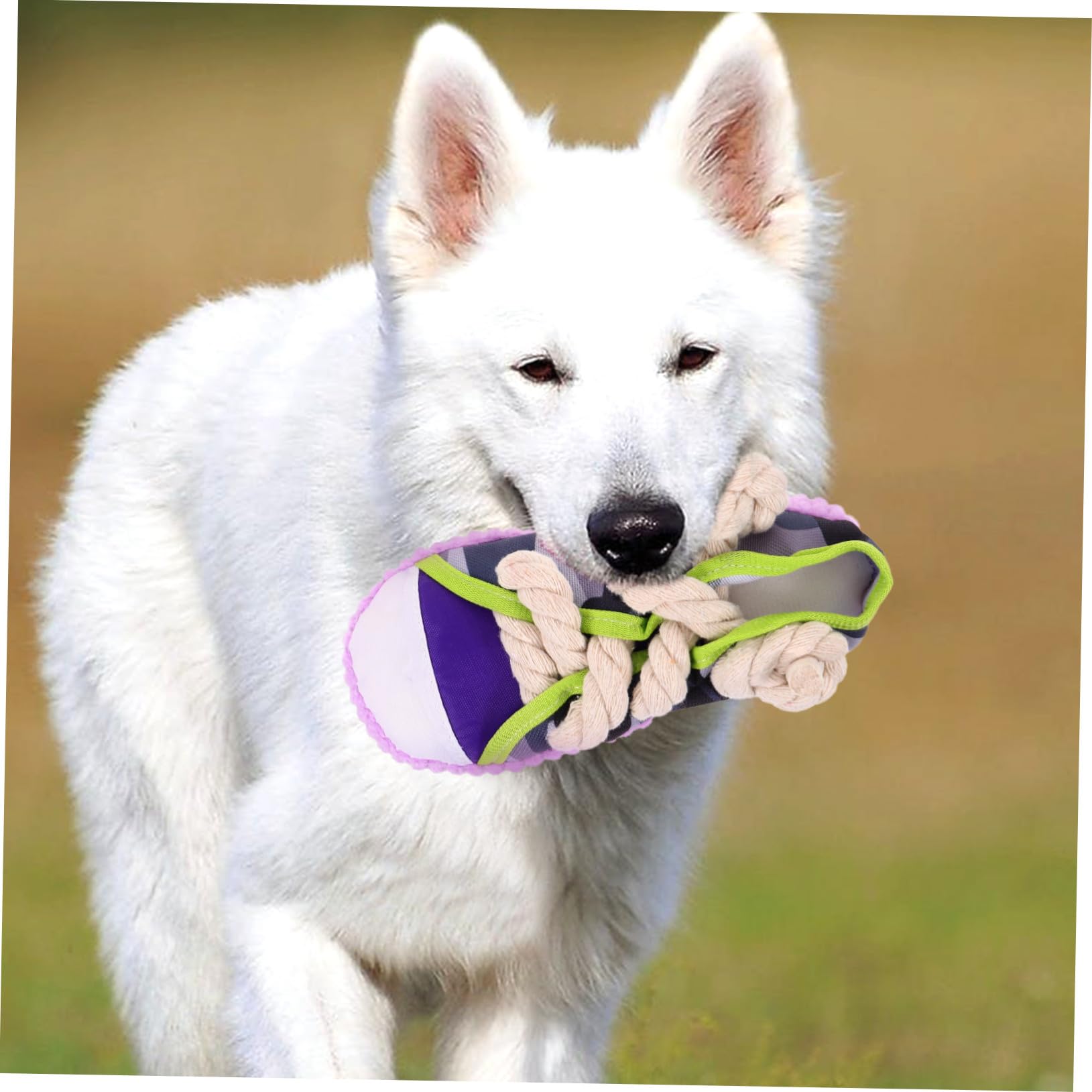 Jouet à Mâcher pour Chiens Qui Couinent en Coton Résistant, Taille Petite, Jouet de Dentition Interactif pour Chiots et Animaux de Compagnie, Couleur Violette