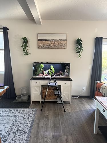 Review Image by Holliday
