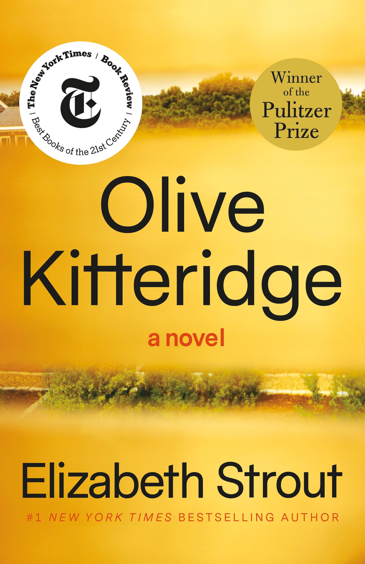 Olive Kitteridge: Fiction Kindle Edition