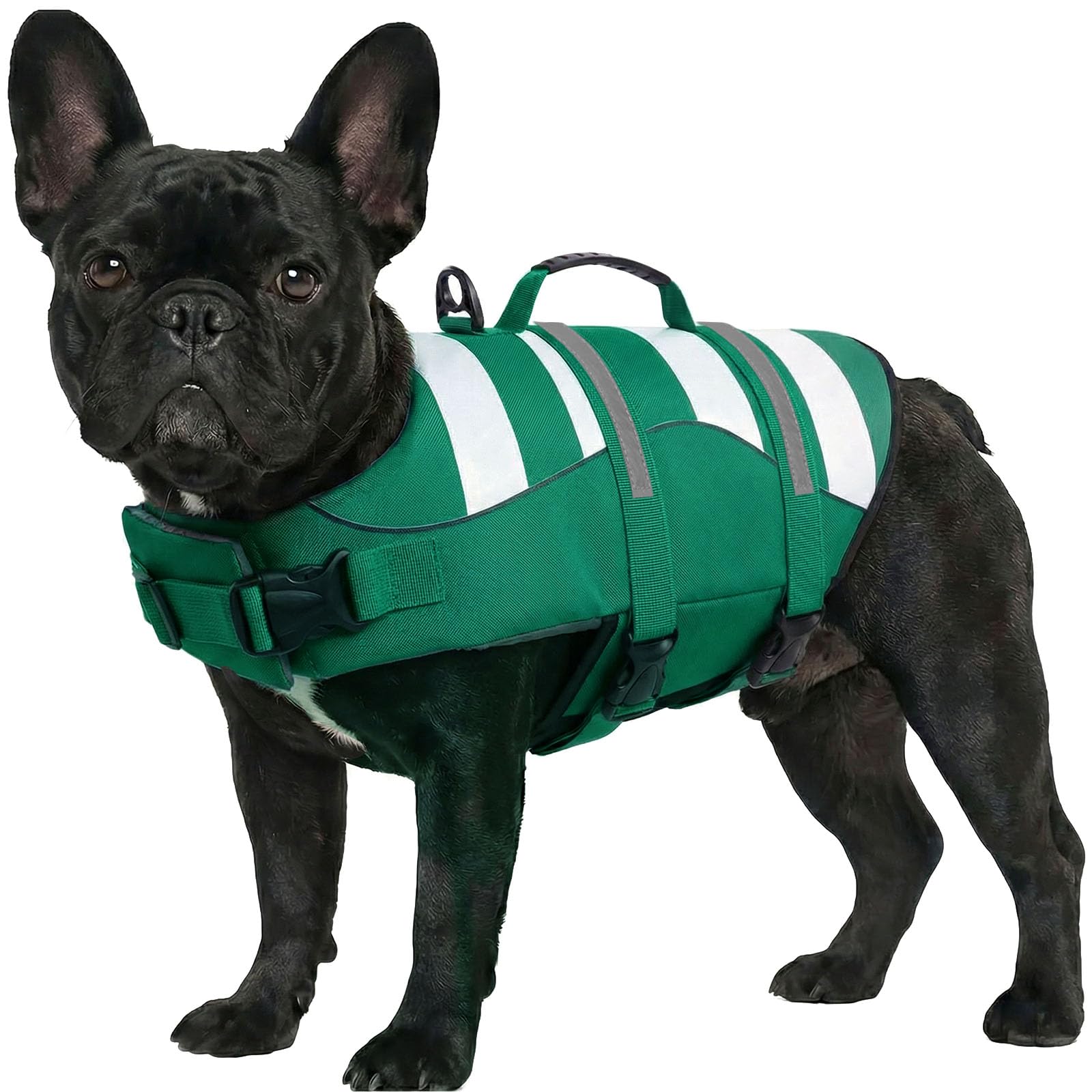 ASENKU Giubbotto Salvataggio per Cane, Salvagente per Cani Taglia Piccola S,Galleggiante per Cani ad Alta Visibilità con Maniglia per Sicurezza in Acqua, Spiaggia e Barca
