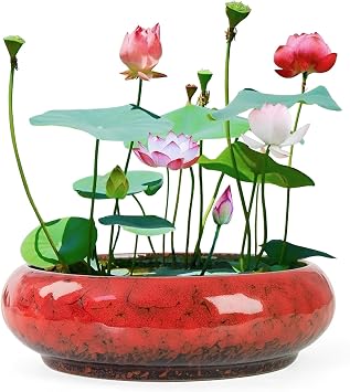 ARTKETTY Lotus Bowl Planter - 7.3 Inch Large Lotus Flower Bowl for Water Plants, Ceramic Hydroponic Planter Water Lily Bowl for Planting Aquatic and Indoor Succulent Plants and Bonsai