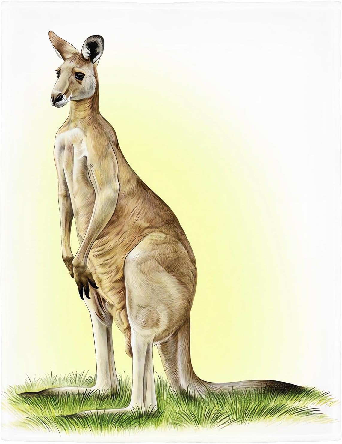 Kangaroo Blanket Australian Animal Fleece Blanket Soft Fuzzy Plush Throw Blankets for Couch Bed 40"x50" - Image 2