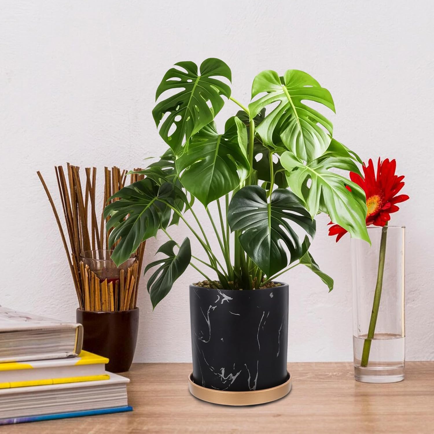 Cylindrical Ceramic Flowerpot with Marble Vein Pattern and Saucer, 15x15x15cm Succulent Planter for Indoor Desktop Gardening