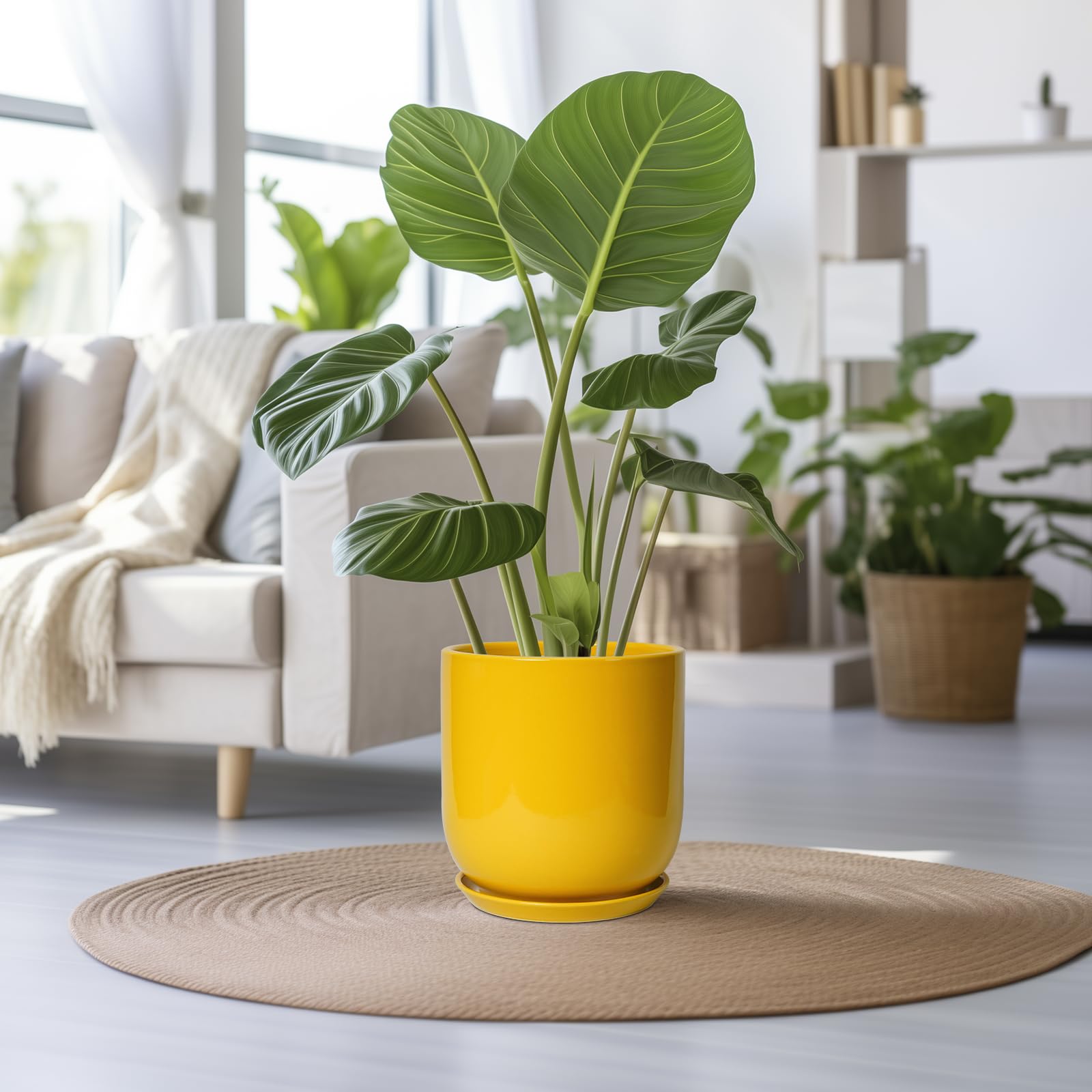 Amazon.co.jp: SUNPOTFOR 12インチ植物用ポット - 屋外植物用