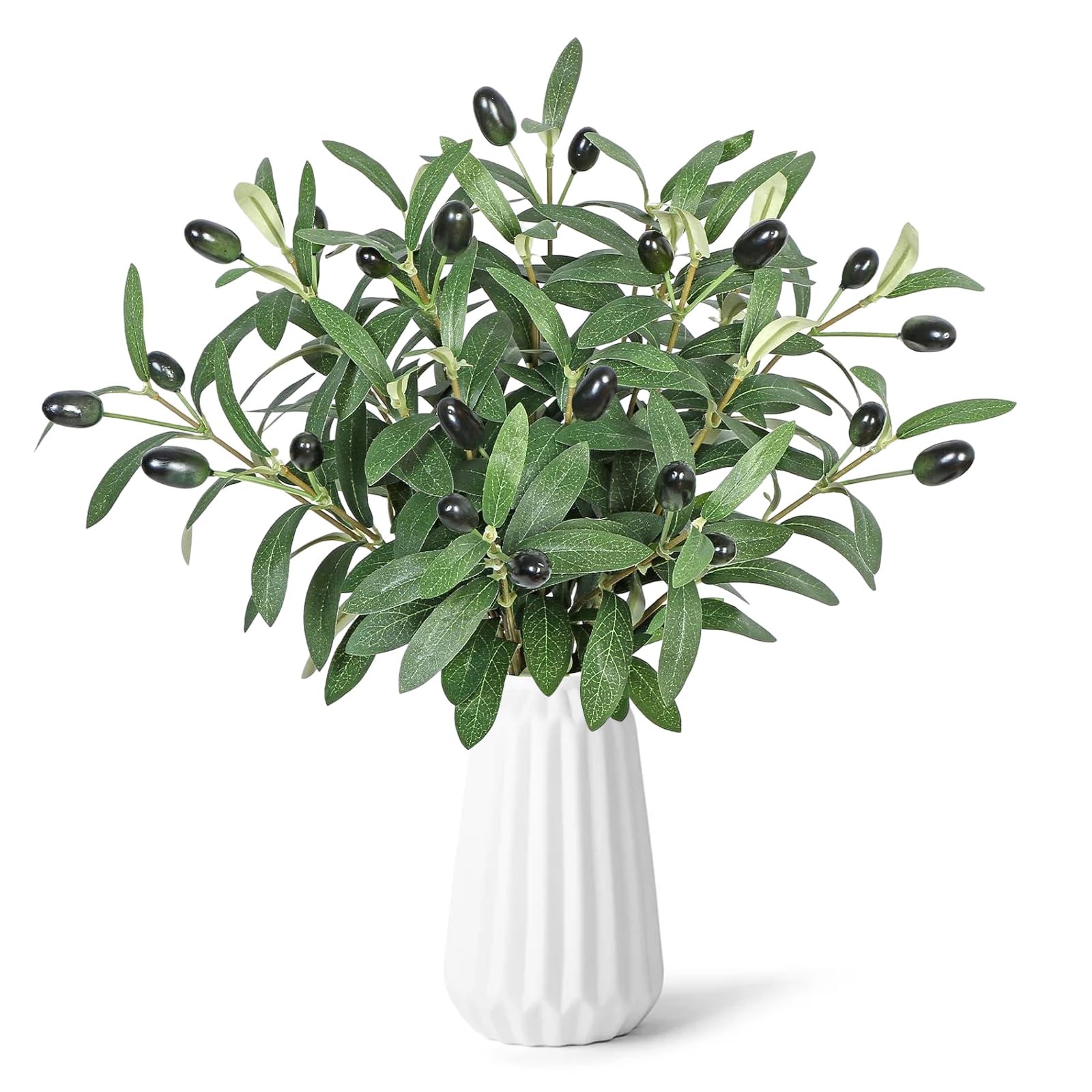 variegated schefflera plant Schefflera Arboricola Variegated Bush main image 1