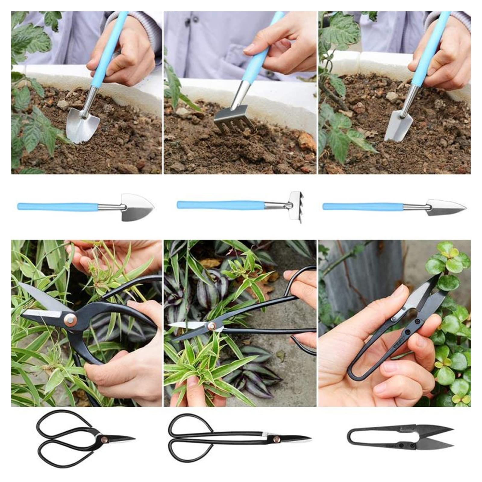 Ensemble d'outils de de Jardinage Succulent, sécateur de Haute qualité, Fil de bonsaï Durable pour Les jardiniers
