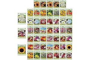 Small Flower Seeds Variety 50 Pack: A Splash of Colors in Your Garden!