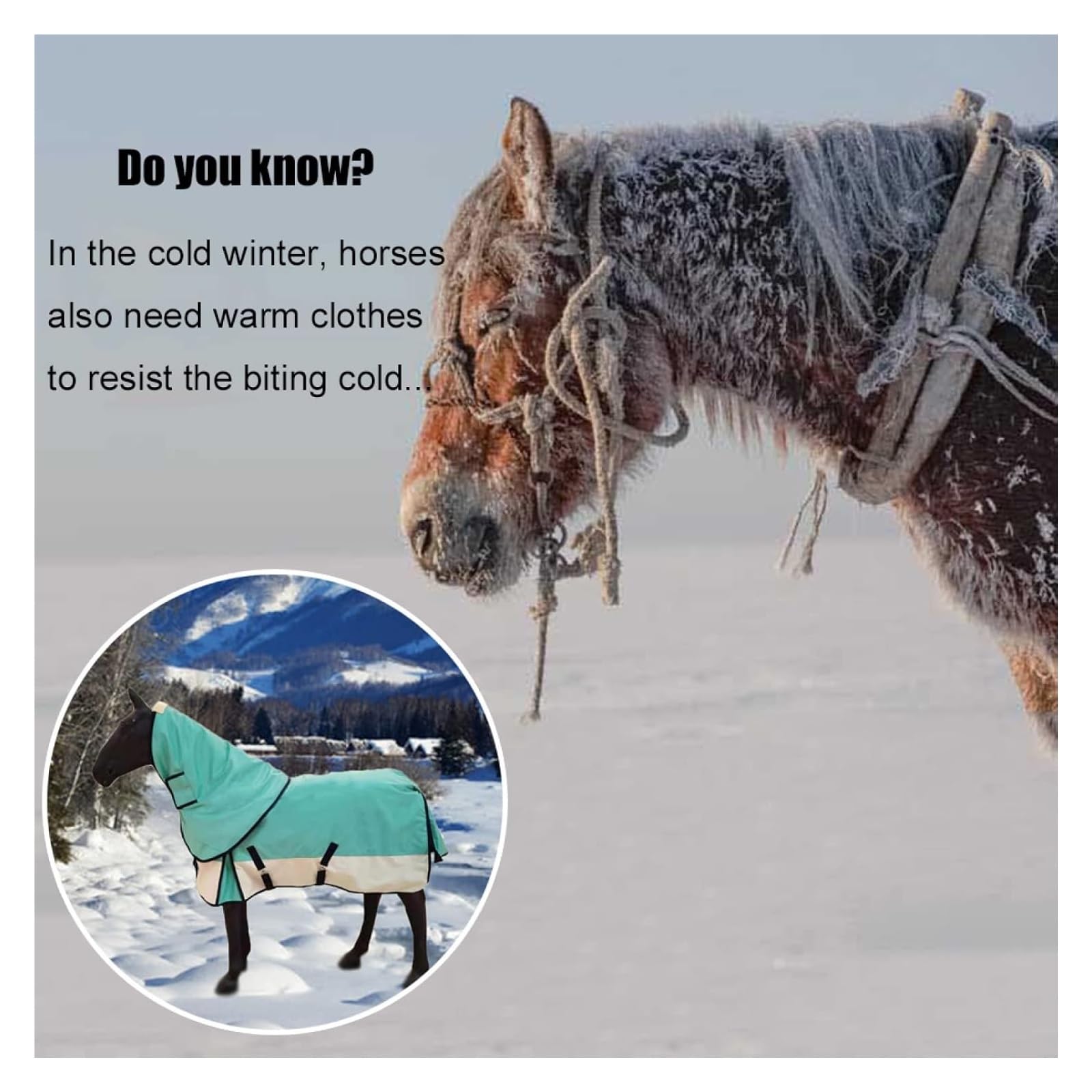Manta transpirable para caballos, 600D con cuello combinado, forro térmico desmontable, cómoda y duradera, carcasa exterior tejida para protección en invierno