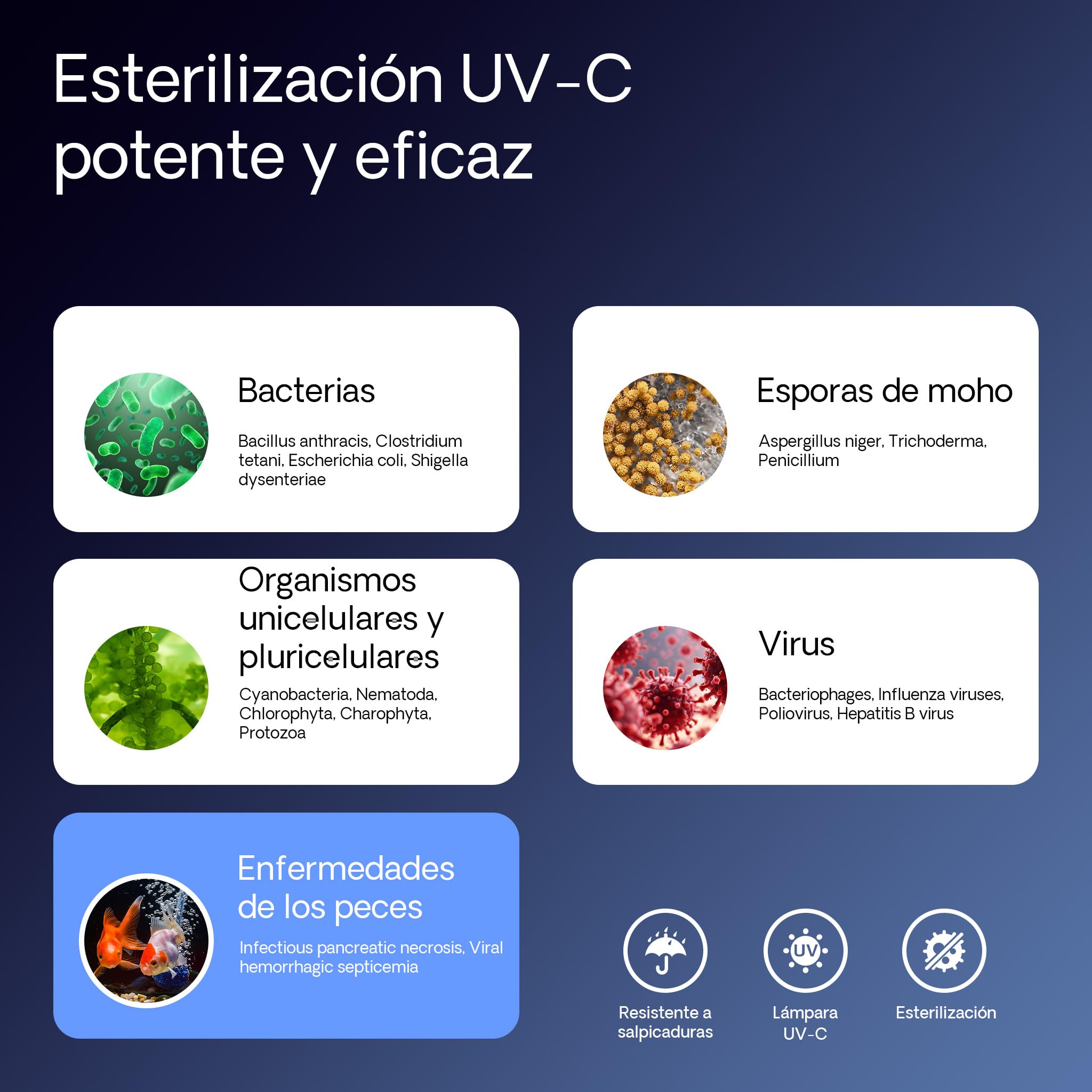 SunSun Set Filtro estanques CBF-350C hasta 90000l 36W clarificador UV CUV-236