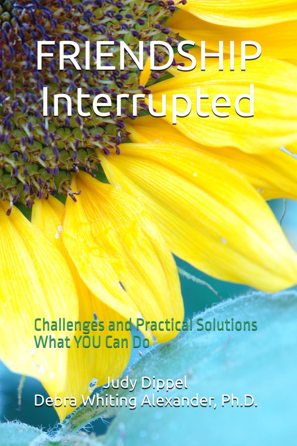 Friendship Interrupted: Challenges and Practical Solutions: What You Can Do