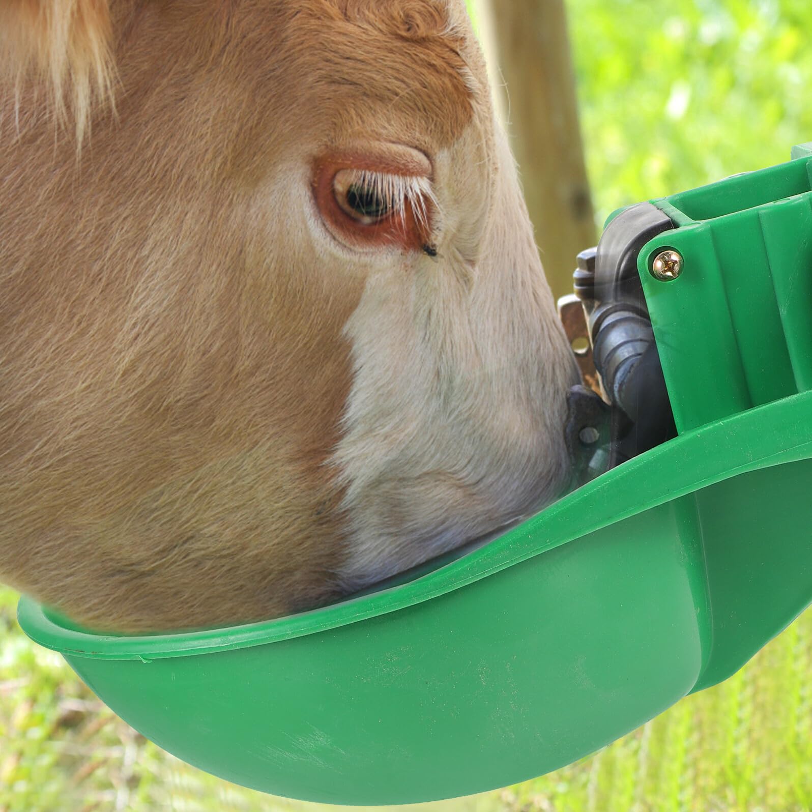 Abbeveratoio Automatico per Mucche, Ciotola Grande in Plastica Verde | Valvola in Rame, Montaggio Semplice, Pulizia Rapida, Uso per Bestiame e Bovini
