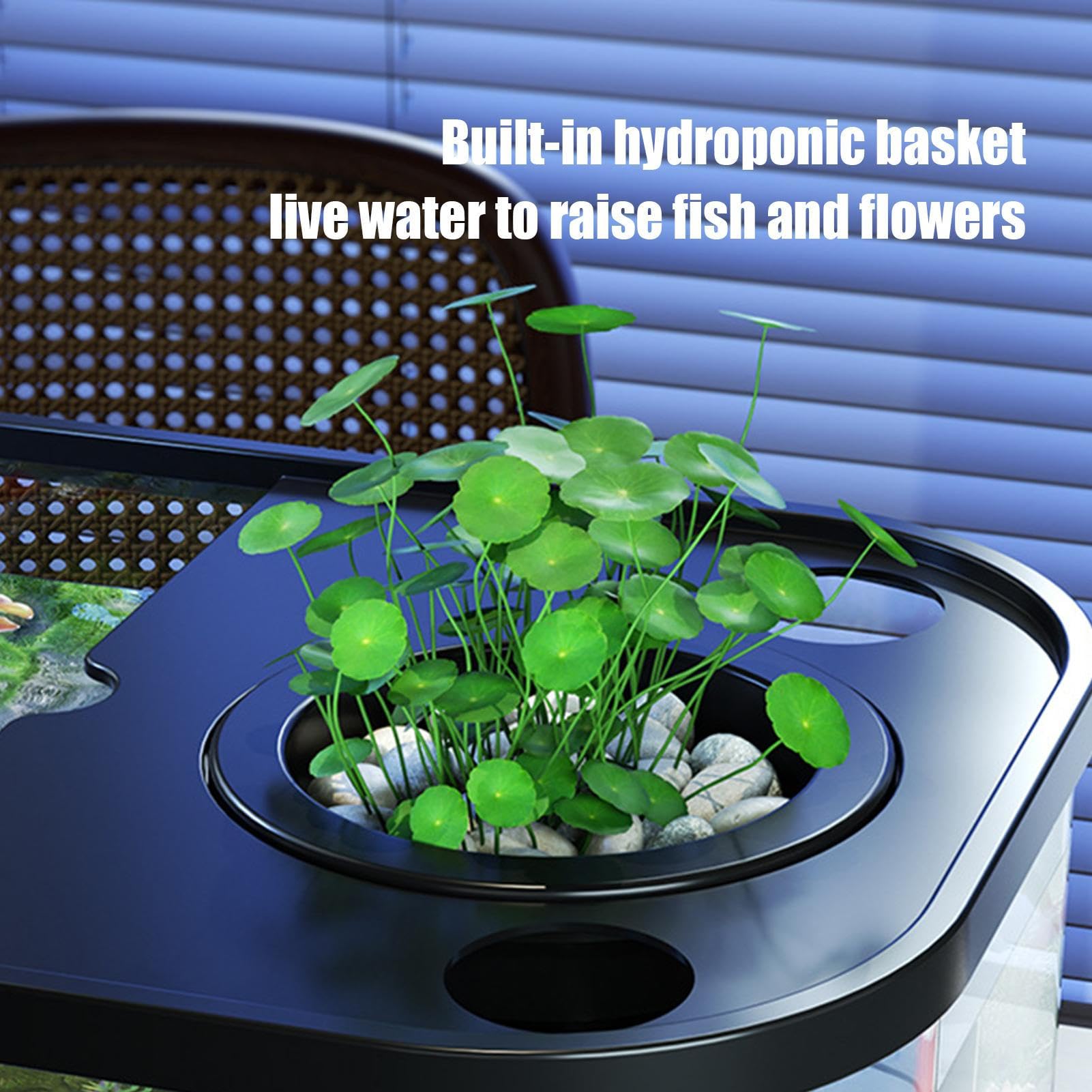 Set de inicio compacto para acuario, pequeño acuario de peces luchadores | cuenco decorativo para peces luchando tortugas, animales de acuario, acuario de mesa