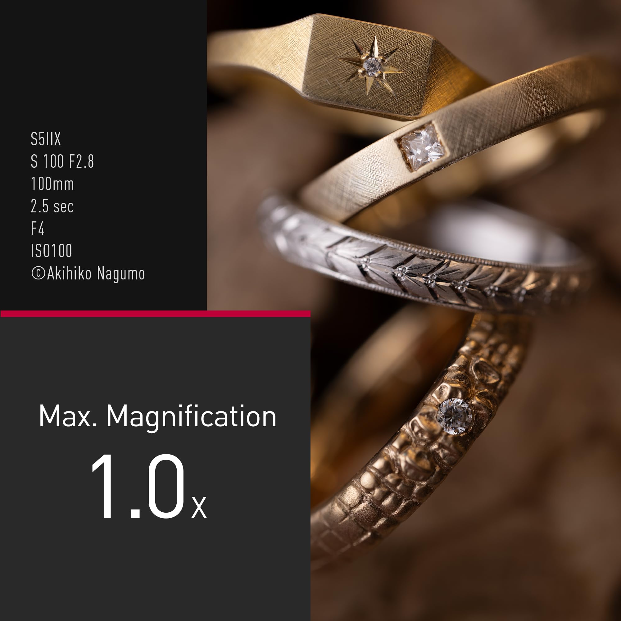 Panasonic Lumix S-E100 100mm F2.8 Macro, Obiettivo per Fotocamera Full Frame, Compatto e Leggero, 298g, Motore Lineare a Doppia Fase, Ingrandimento Dimensione Reale 1:1, Ottimale per Video, Nero