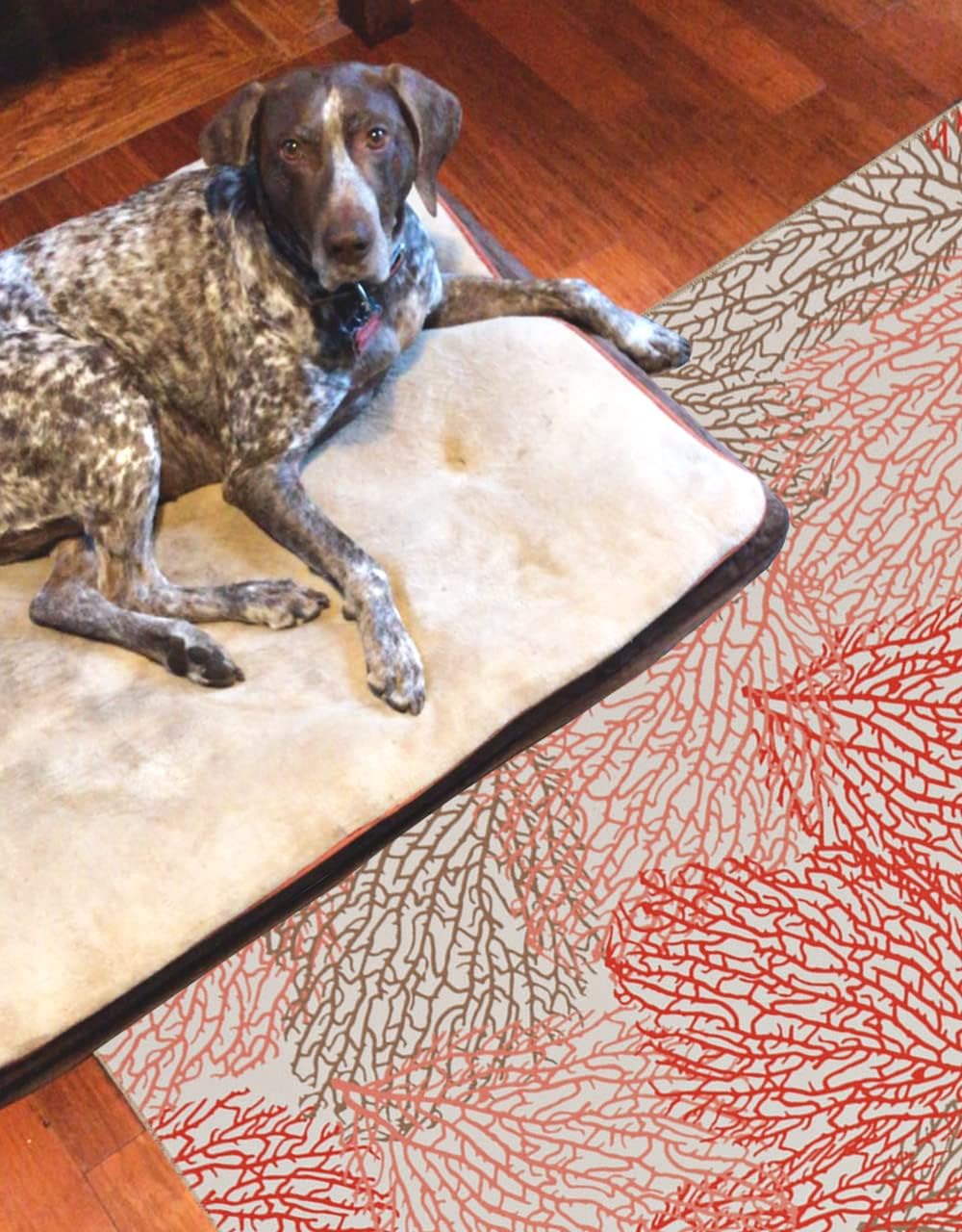 Linon The Anywhere Washable Rug Varley Ivory/Coral 5' X 7' Area Rug