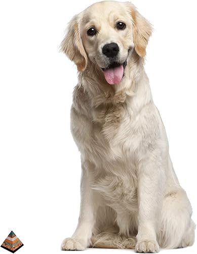 Miniatura 3 de NOVICA Piedra preciosa natural multicolor hecha a mano, energía geométrica, curación espiritual, 3 pulgadas, escultura piramidal Be Positive