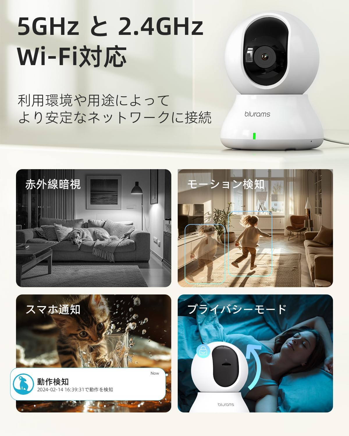 blurams A31 camera features: WiFi, motion detection, night vision, privacy mode