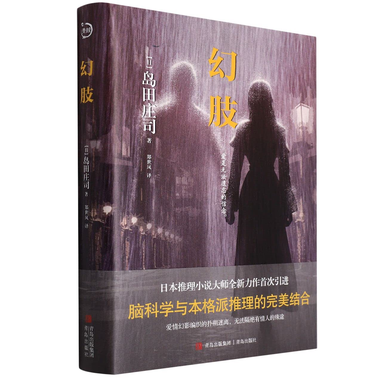 Phantom Limb (Hardcover) (Chinese Edition)