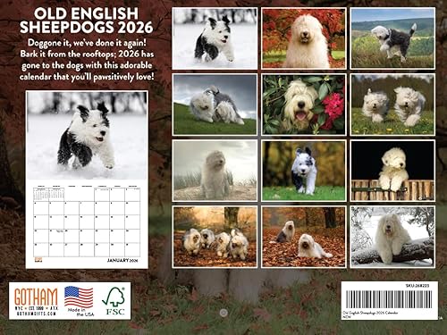 Vista 62 de Calendario Goldendoodle 2026 Golden Doodle mensual de pared calendario de 12 meses Fabricado en Estados Unidos