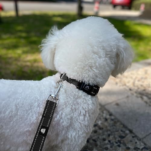 Miniatura 2 de FURRYFECTION Juego de collar y correa reflectante para perro con hebilla de liberación rápida, acolchado con neopreno, collar de nailon ajustable