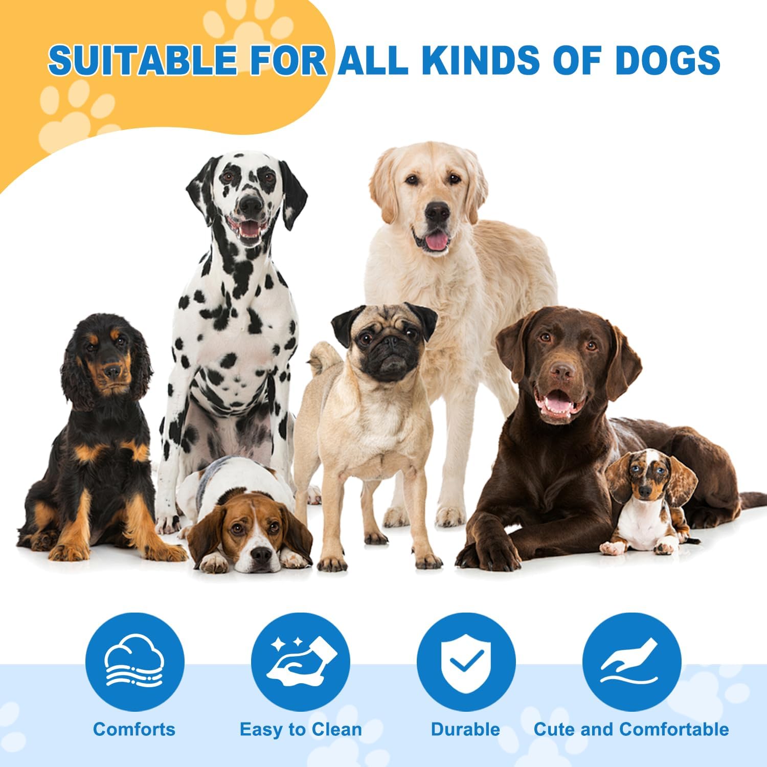 Dog Couch for Large Dogs, Elevated Durable Pet Sofa Bed, 24" W Comfortable Modern and Stylish Dog Sofa Couch with Dry Cleanable Fabric, Furniture for Medium & Large Breed (Beige)