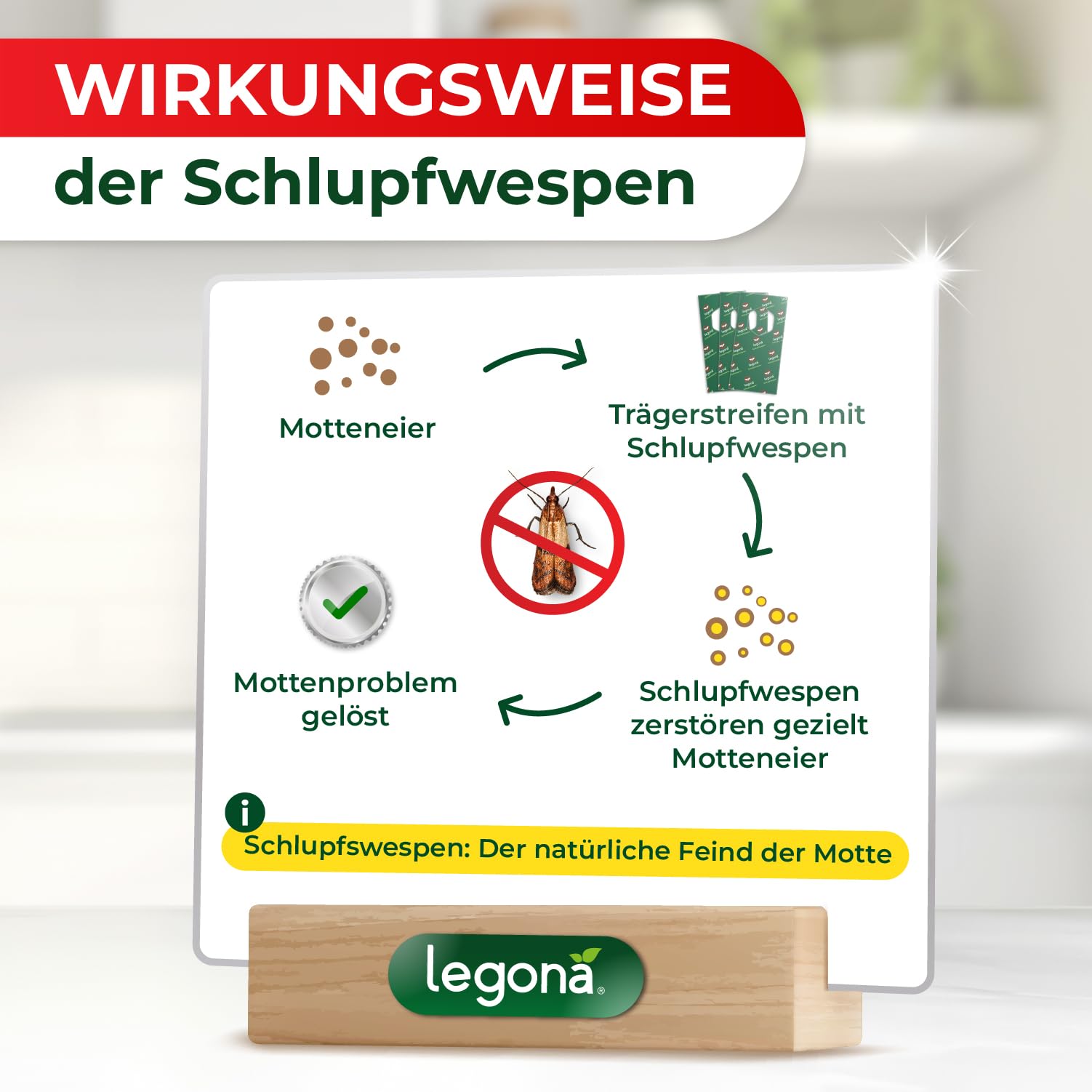 Legona Schlupfwespen gegen Lebensmittelmotten, 3 Lieferungen mit je 5 Trägern, 9 Wochen Vollbehandlung
