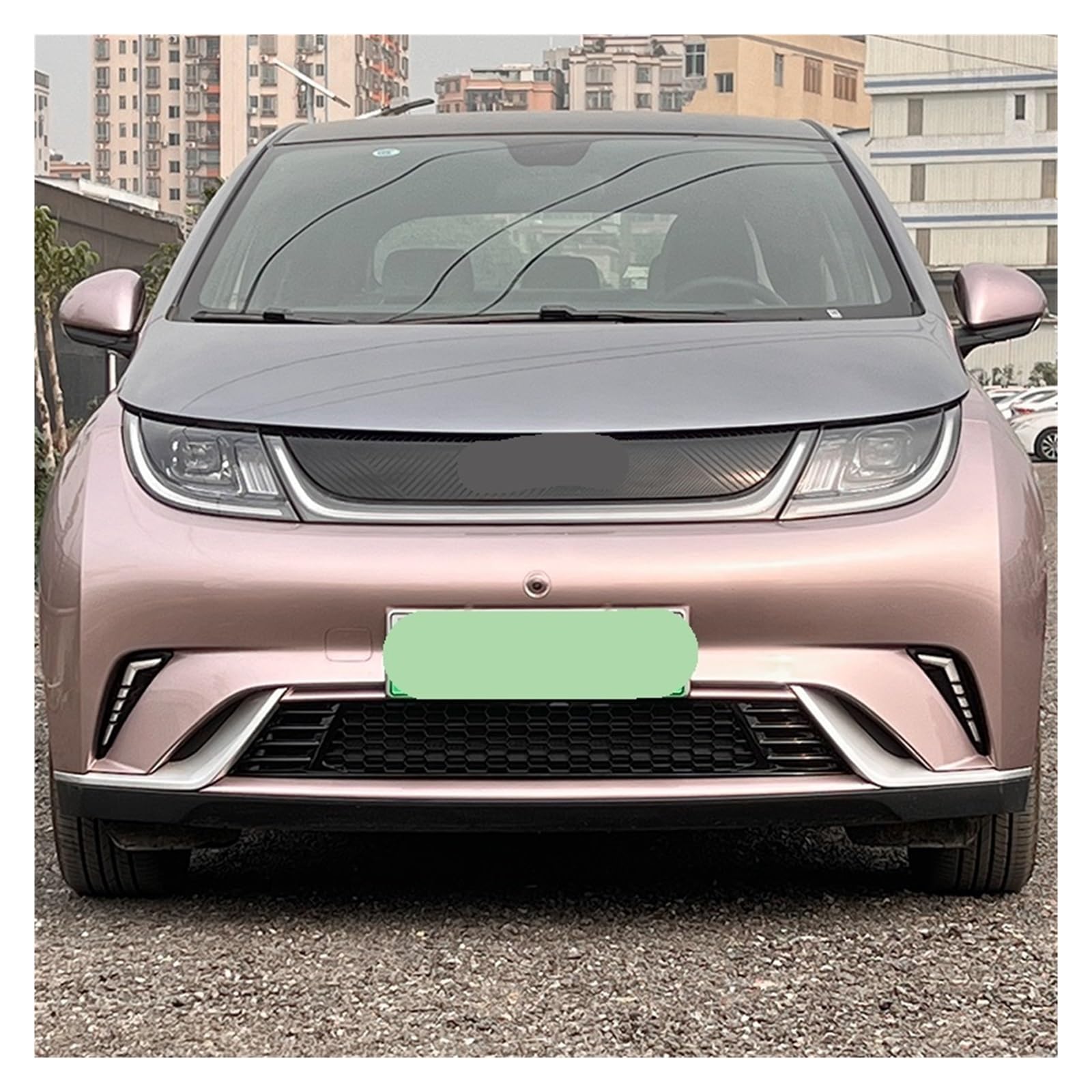 Amazon | Lanliuhui store BYD と互換性ドルフィンと互換性フロント 