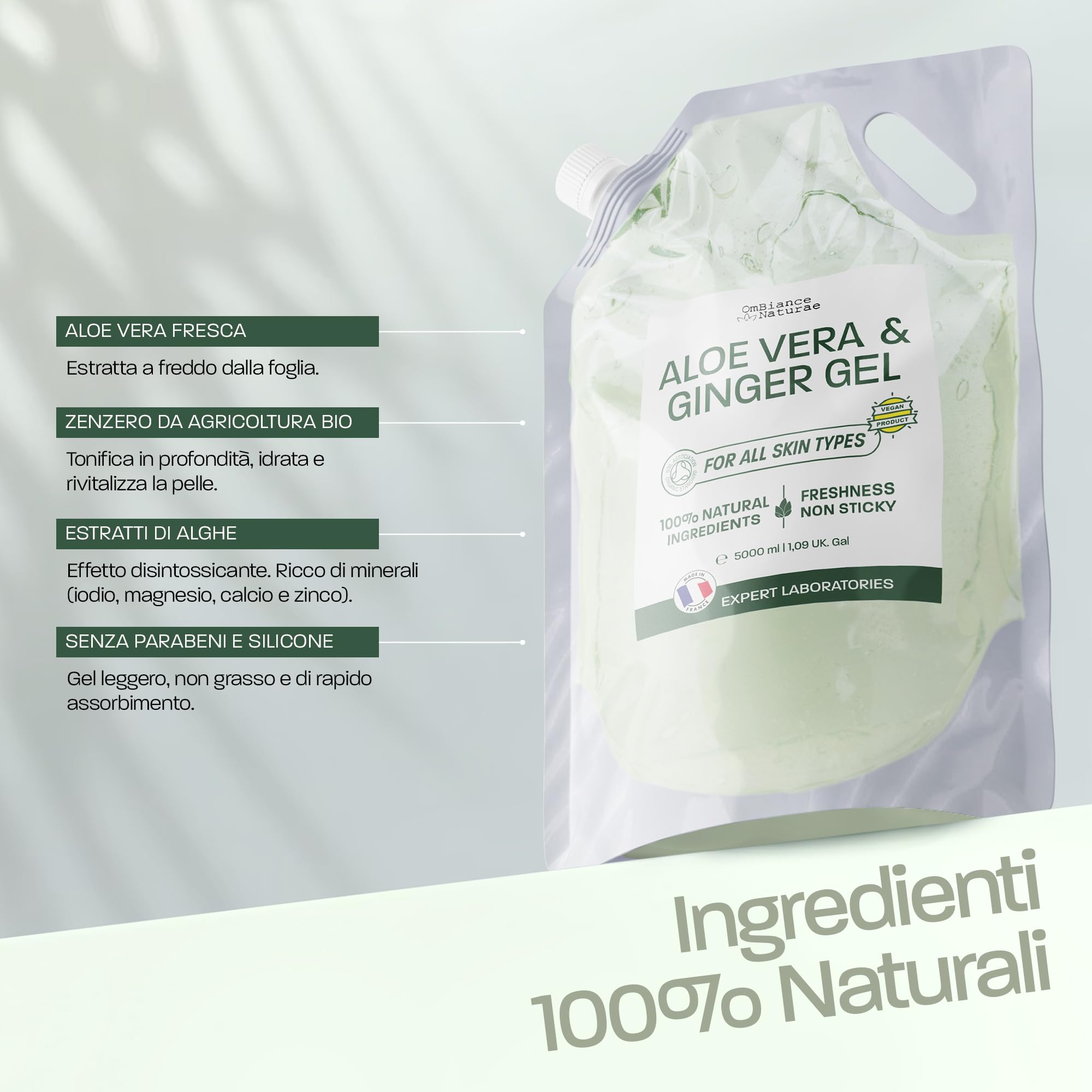Gel Aloe Vera & Zenzero – Idratante, Tonificante e Rassodante – Con Aloe Fresco Biologico da Spagna – Per Viso, Corpo, Capelli – Doposole, Post Rasatura, Gambe Pesanti – Prodotto in Francia 5000 ml