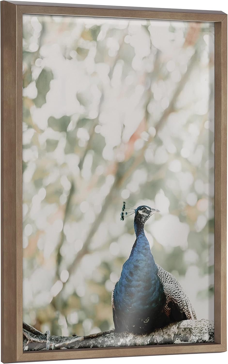 Kate and Laurel Blake Peacock Framed Printed Glass Wall Art by Alicia Abla, 18x24 Gold, Decorative Bird Art for Wall