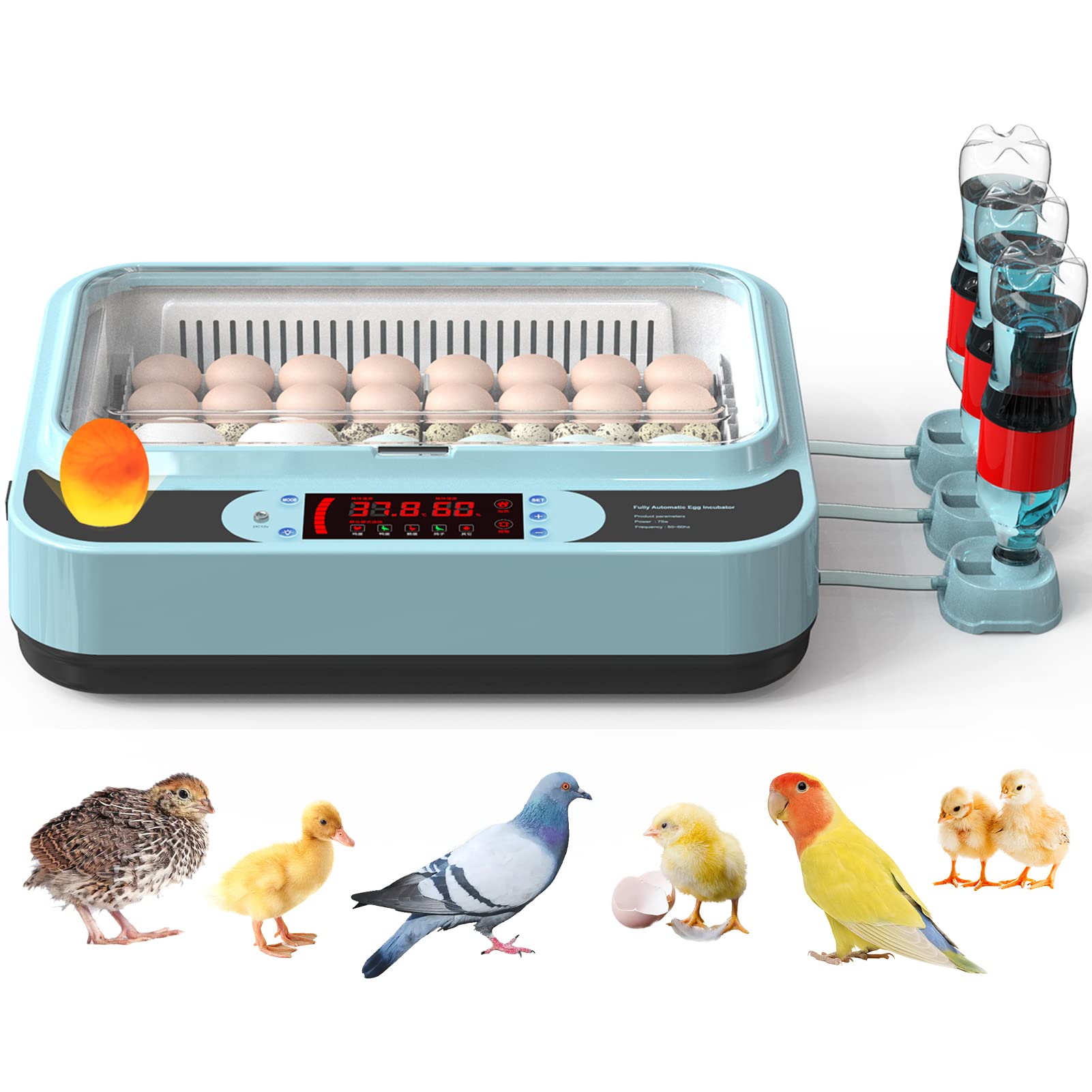 OUYOLAD 36 Egg Incubator with Humidity Display, Incubators for Hatching Eggs Automatic