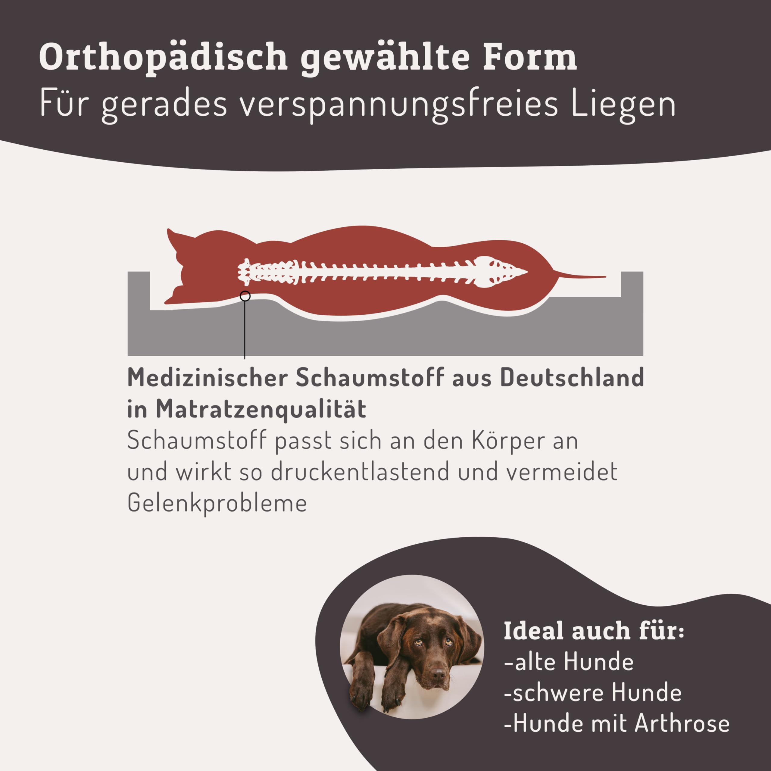 SABRO KUDDE Orthopädisches Hundebett – Martin Rütter – Hochwertiges Kunstleder – Waschbar & Wasserabweisend – Ergonomisch – Premium Haustierzubehör für Mittelgrosse, Grosse Hunde in Beige