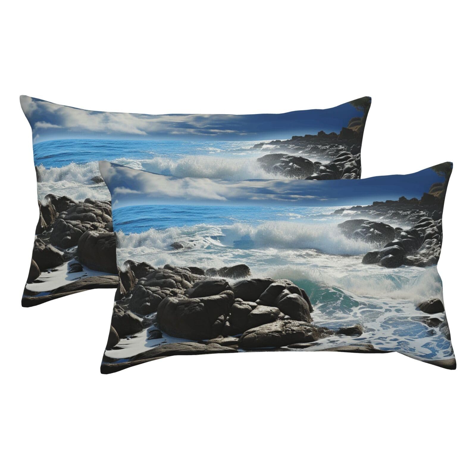2 Pack King Pillow Cases with Hidden Zipper, Soft Breathable Pillow Covers for Hair and Skin, Ocean Pouring Over Coastal Rocks Pillowcases 20"x36" Bed Pillow Protectors Cover for Sleeping Gifts