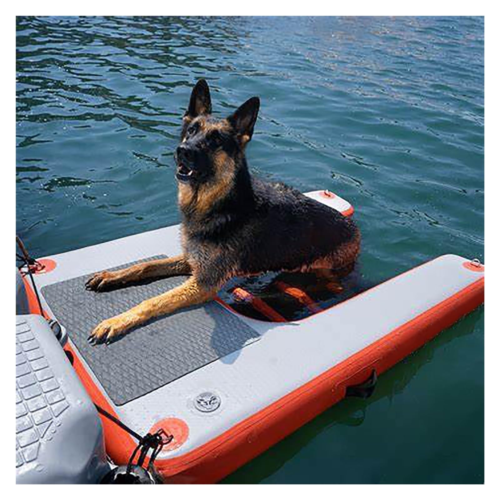 rampa de Agua para Perros Rampa Inflable para Perros con Espuma EVA Antideslizante, Escalera Flotante para Perros Grandes (hasta 104 kg), Ideal para Barcos, Lagos y Yates.(Red)