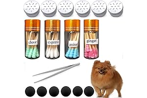 Dog Scent Work Starter kit