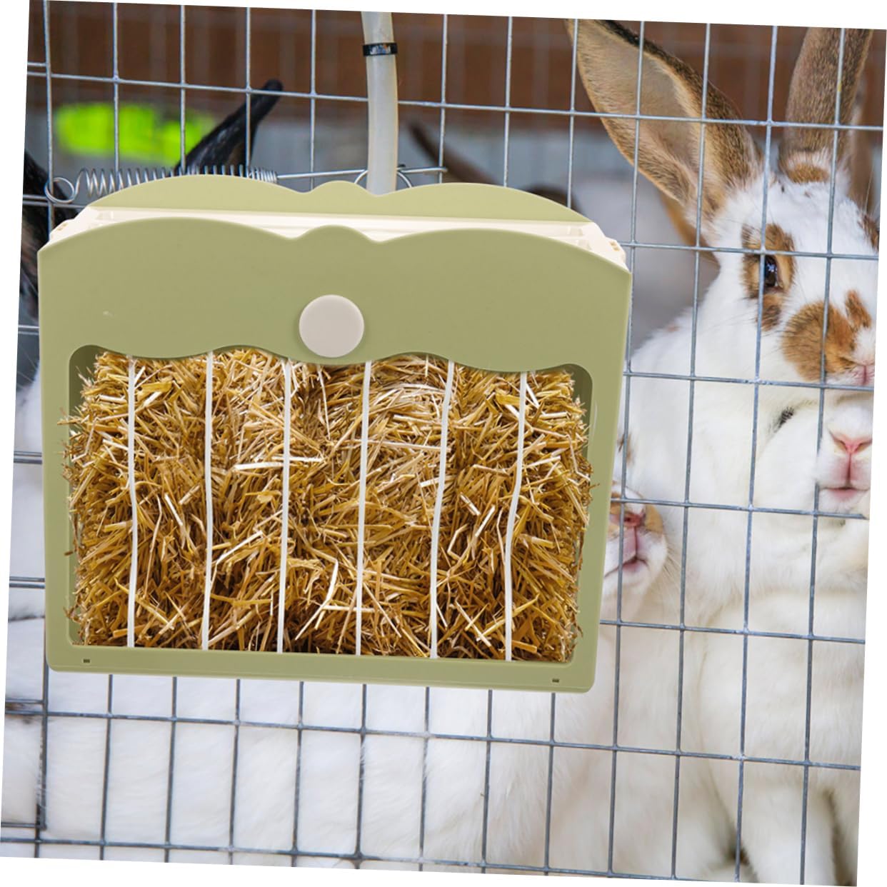 2pcs Guinea Pig Feeder Bunny Hay Feeder Multi-Function Small Pet Rack Rabbit Chinchilla Holder