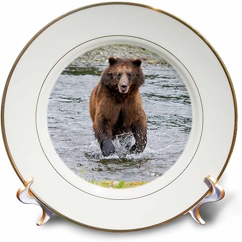 3dRose Brown bear chases after a salmon dinner at Pack Creek. - Plates (cp-380598-1)