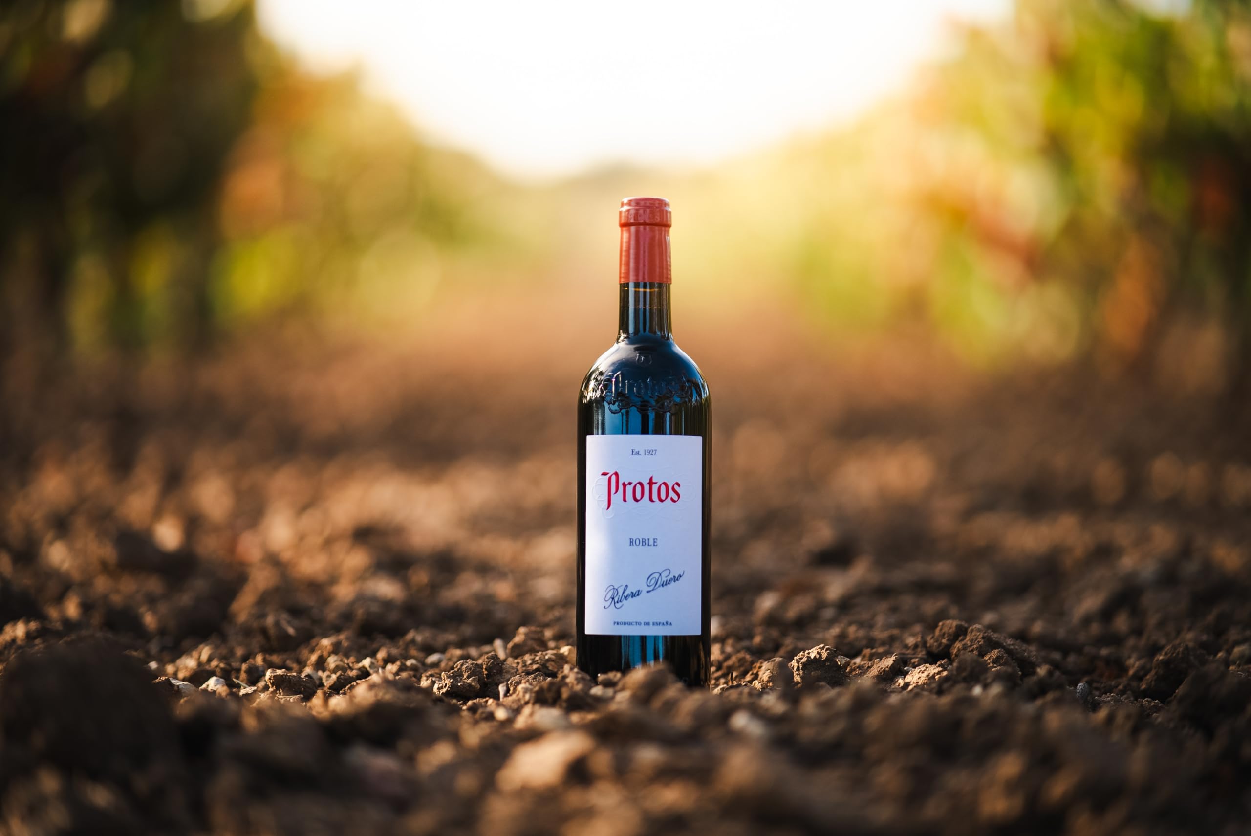 Protos Roble, Tempranillo, Estuche Vino Tinto, Ribera del Duero, 2 botellas 75cl, El embalaje puede variar