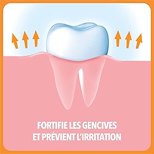 Colgate - Tonigencyl Capital Gums Toothpaste Dispenser - 100 ml - Pack of 2 Colgate - Tonigencyl Capital Gums Toothpaste Dispenser - 100 ml - Pack of 2