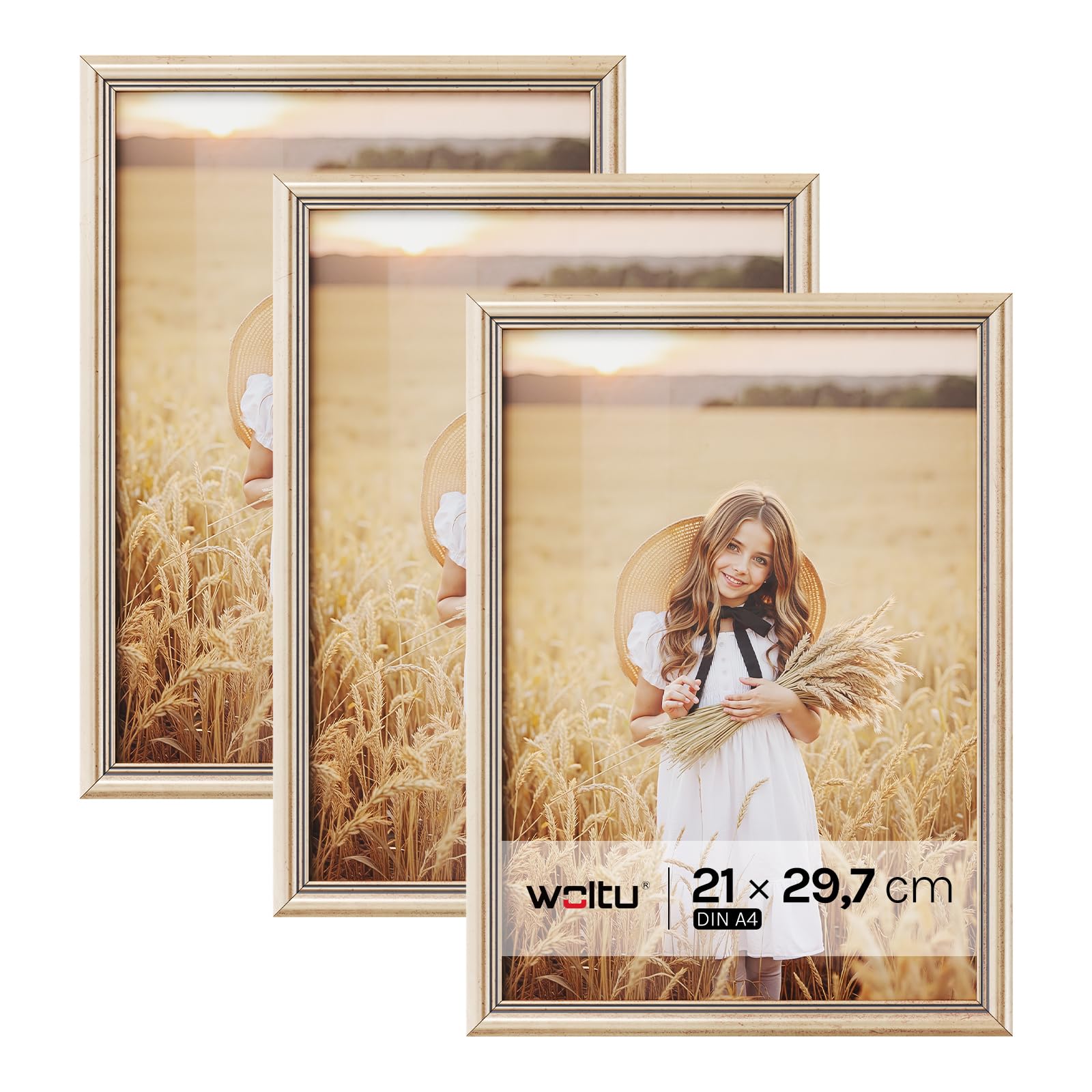WOLTU Lot de 3 Cadre Photo A4 21,9x30cm Cadre en Bois Massif avec Passe Partout, Suspendre Horizontalement ou Verticalement, Décoration Murale ou sur Table, Or