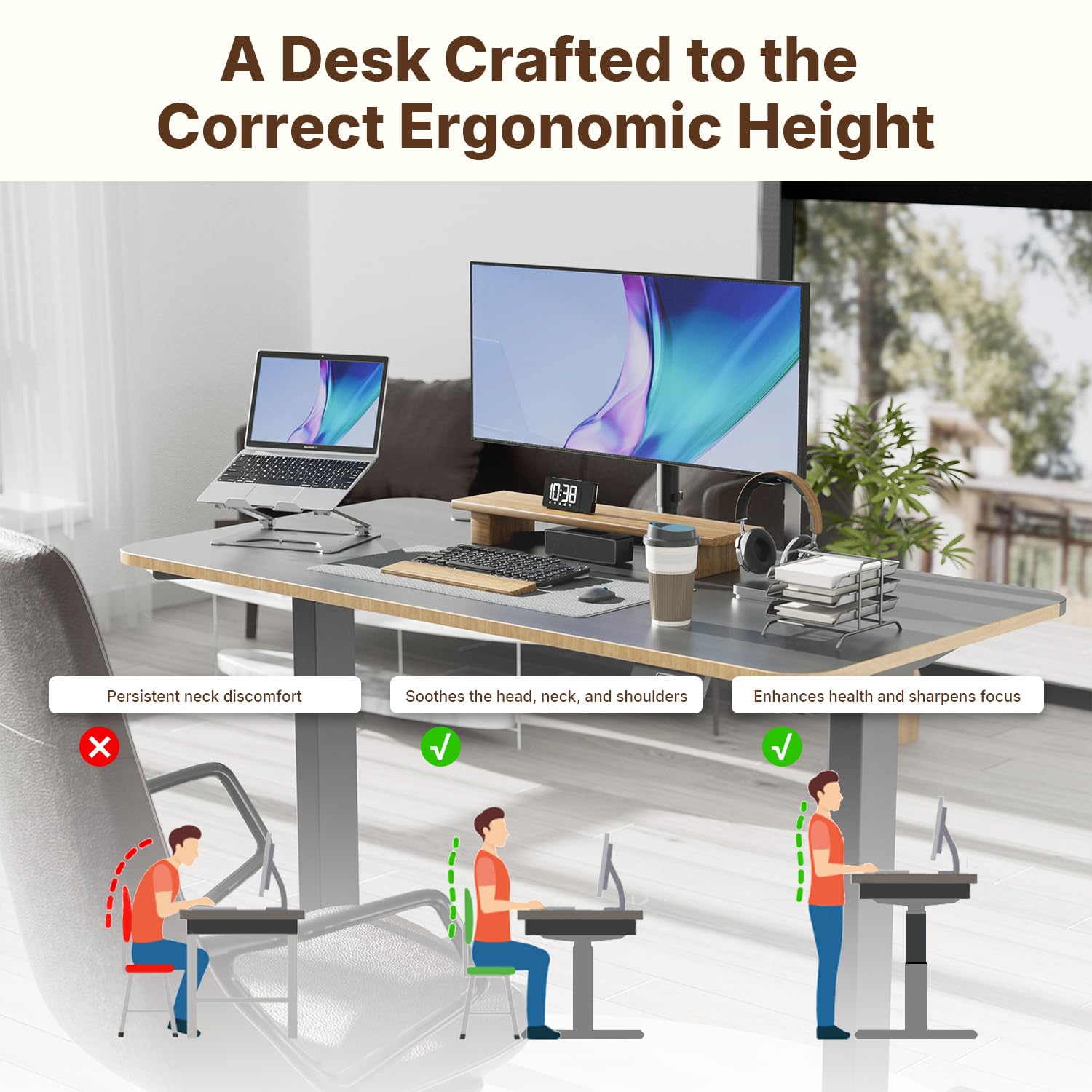Amazon.com: NearHub Electric Height Adjustable Standing Desk, 55
