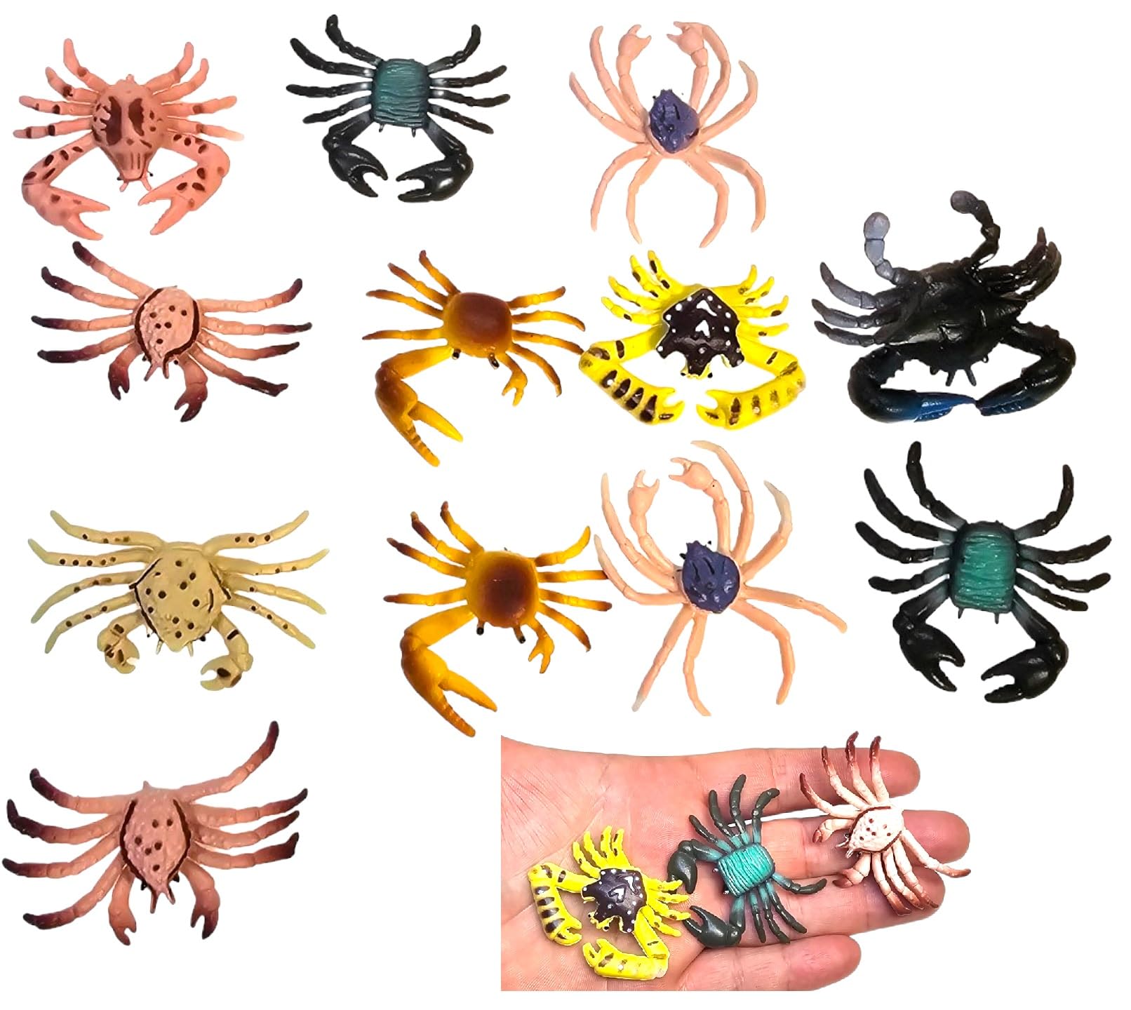 Amazon.com: Zugar Land Realistic Mini Crab Figurine Assortment