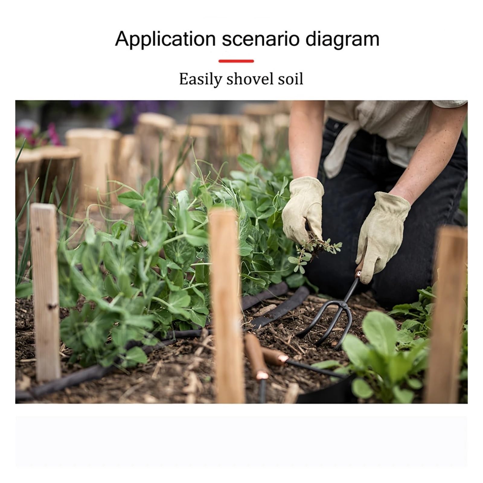 Générique 1/3 pièces, Ensemble d'outils de Jardinage, râteau à Fleurs, Pelle Plage, Sol, Plante Culture Domestique, pin, Outils Jardin