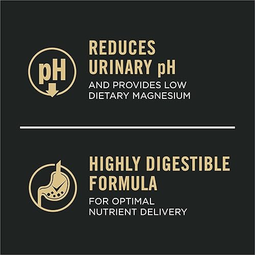 Miniatura 3 de Purina Pro Plan - Comida húmeda y seca para mascotas adultas especial para el cuidado del tracto urinario.