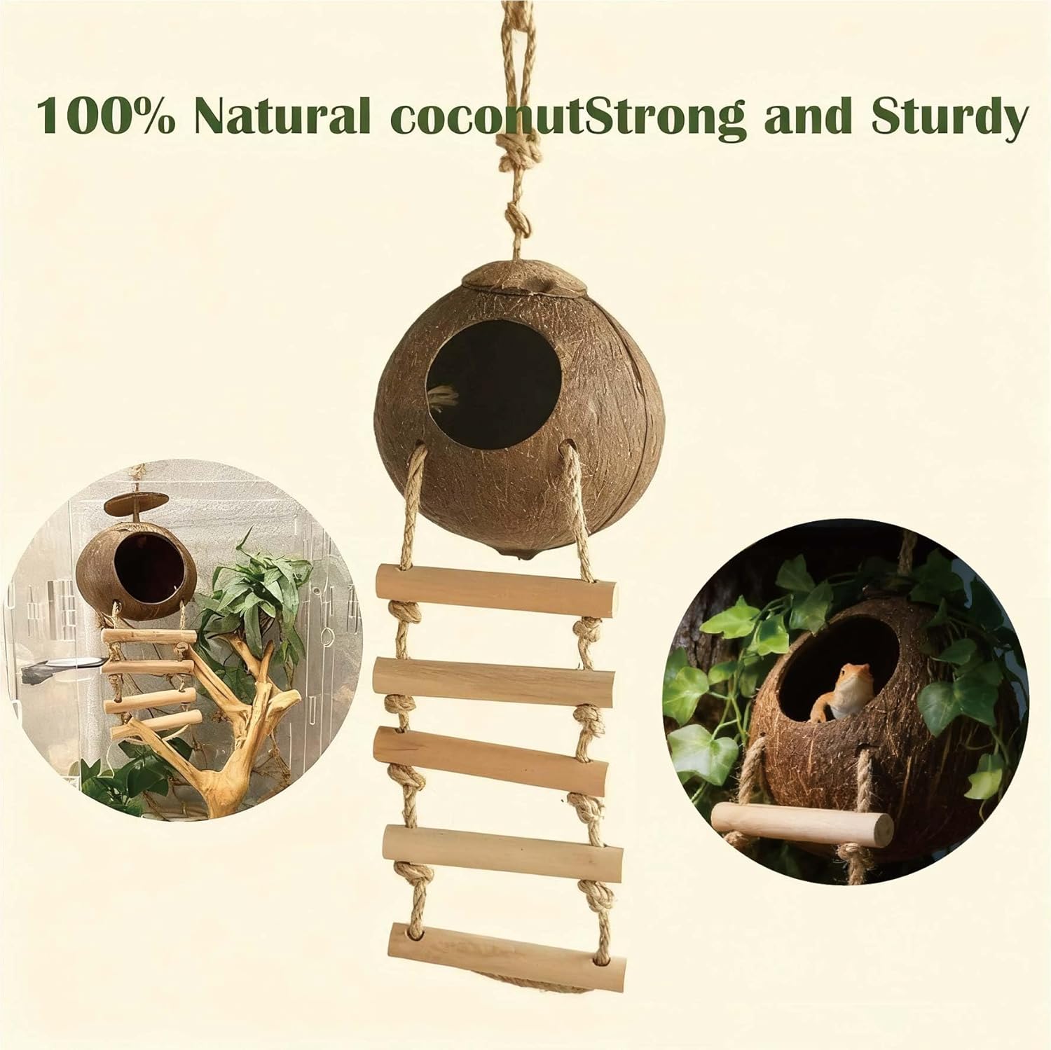 Leopard Gecko Tank Accessories. Reptile Hammock Vines Plants with Coconut Shell Ladder Hideout Hermit Crab Decor for Bearded Dragon Lizard Chameleon Crested Gecko Tortoise Snake(10PCS with Water Dish)