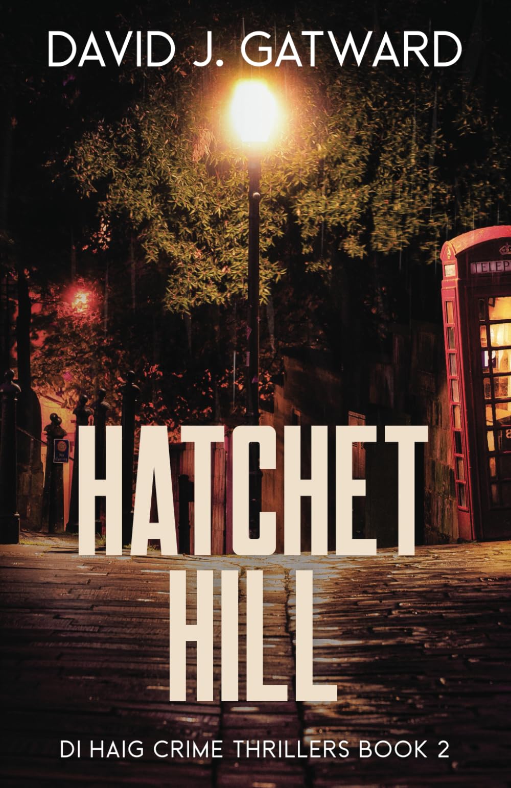 Hatchet Hill (DI Haig Crime Thrillers)