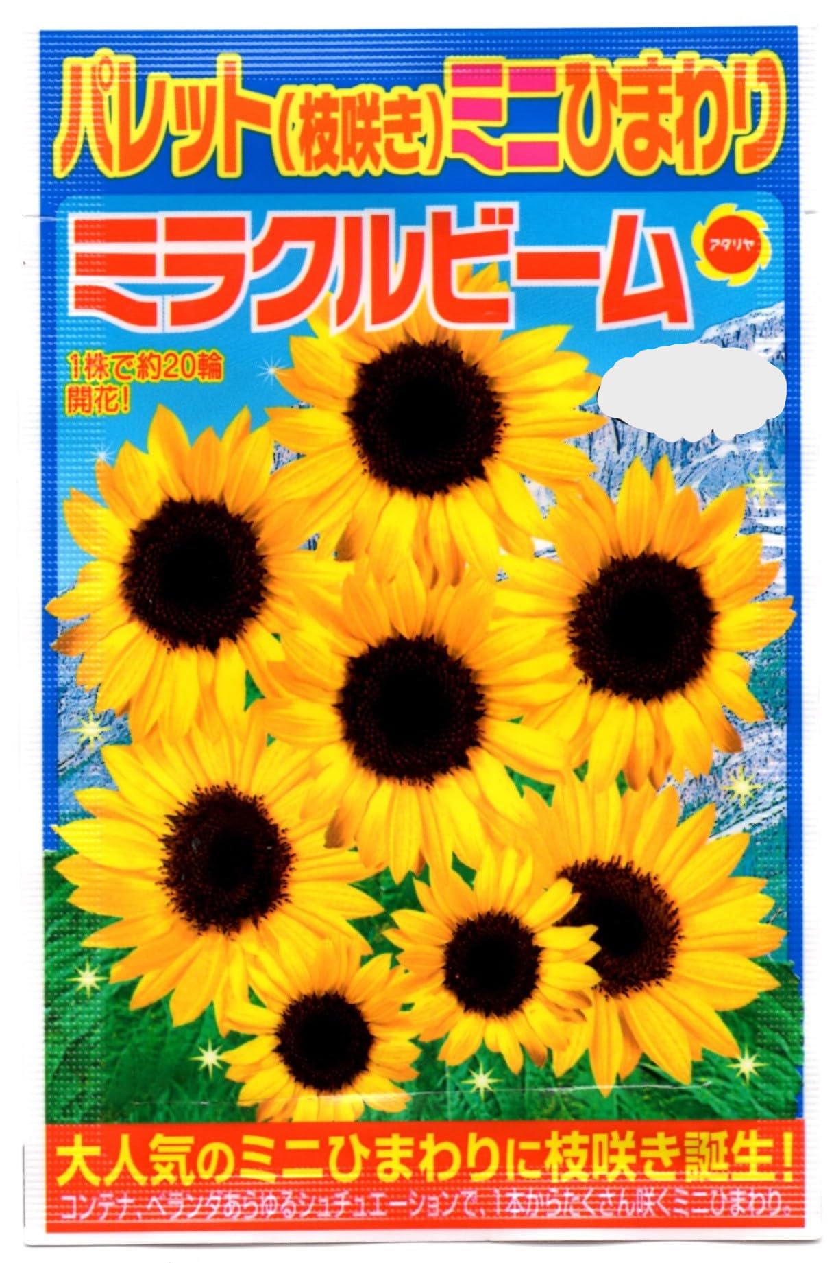 Amazon.co.jp: パレット 枝咲き ミニ ひまわりの種 ミラクルビーム