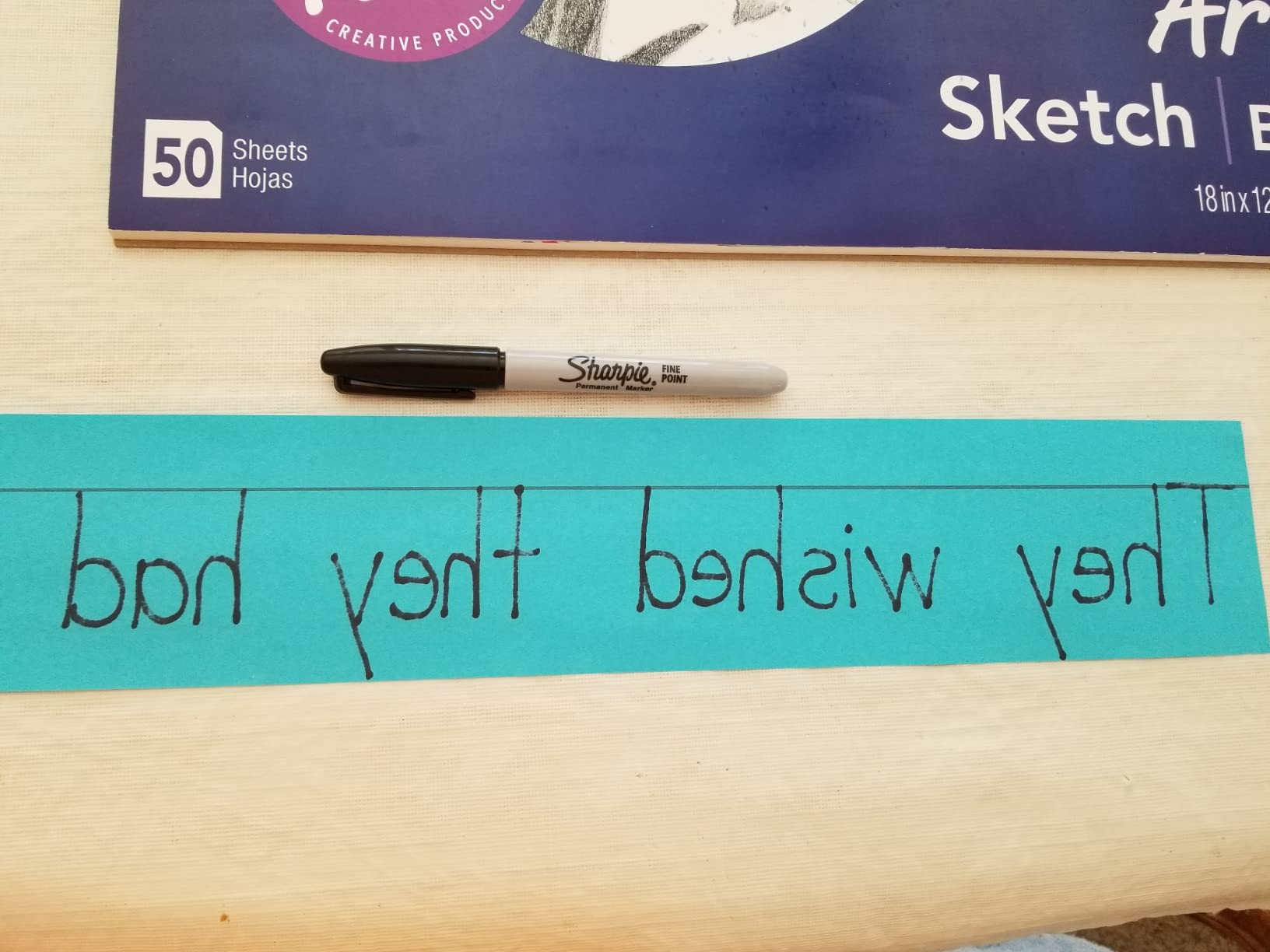 Amazon.com: Rainbow Kraft Lightweight Sentence Strips, 5 Assorted ...