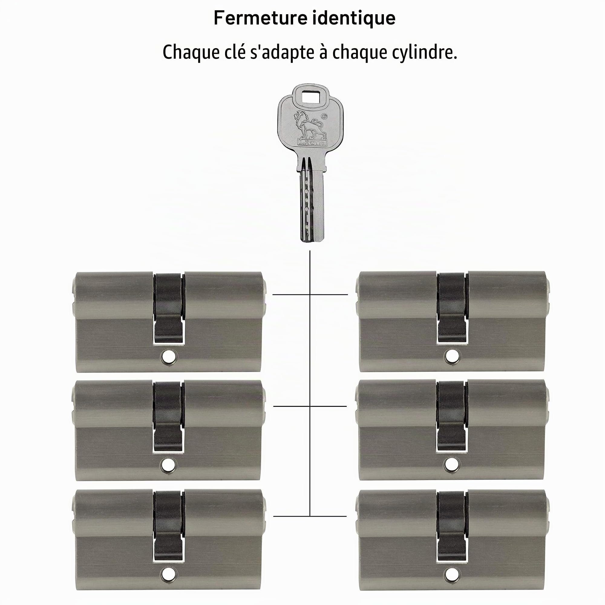 Lot de 6 cylindres profilés 60 mm 30/30 30 clés pour porte, cylindre de serrure à fermeture identique