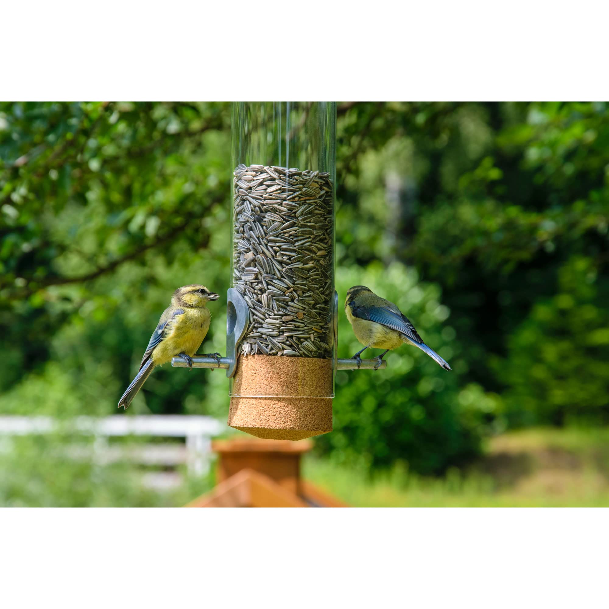 dobar® Premium Design Vogelfuttersäule Echtglas-Pickbar - Futterspender zum Hängen - Wildvogelfutterautomat mit Lederkordel - Futterstation für Wildvögel - Ø 9 x 33 cm - Transparent
